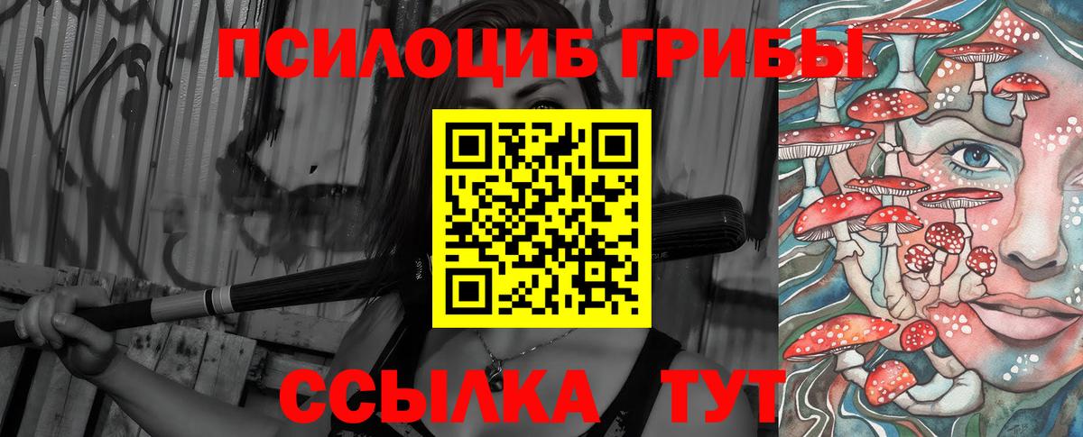 Туймазы  что такое   Вход с VPN  Псилоцибиновые грибы Cubensis 