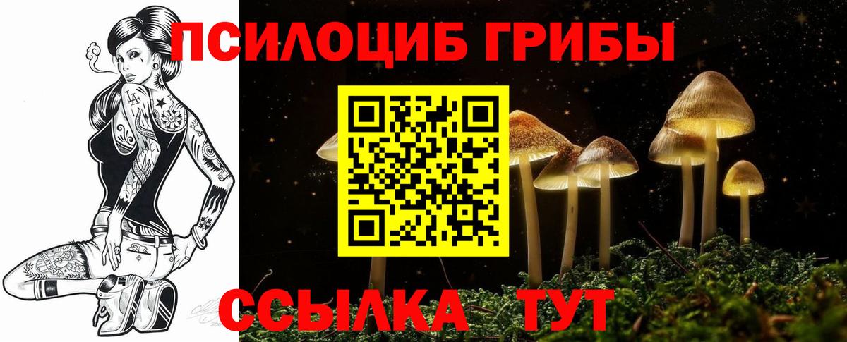 Галлюциногенные грибы GOLDEN TEACHER Туймазы